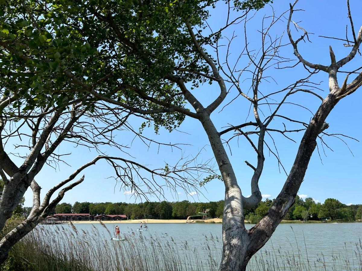 Drents Genieten - Kraaiheide Met Prive Jacuzzi Erm Kültér fotó