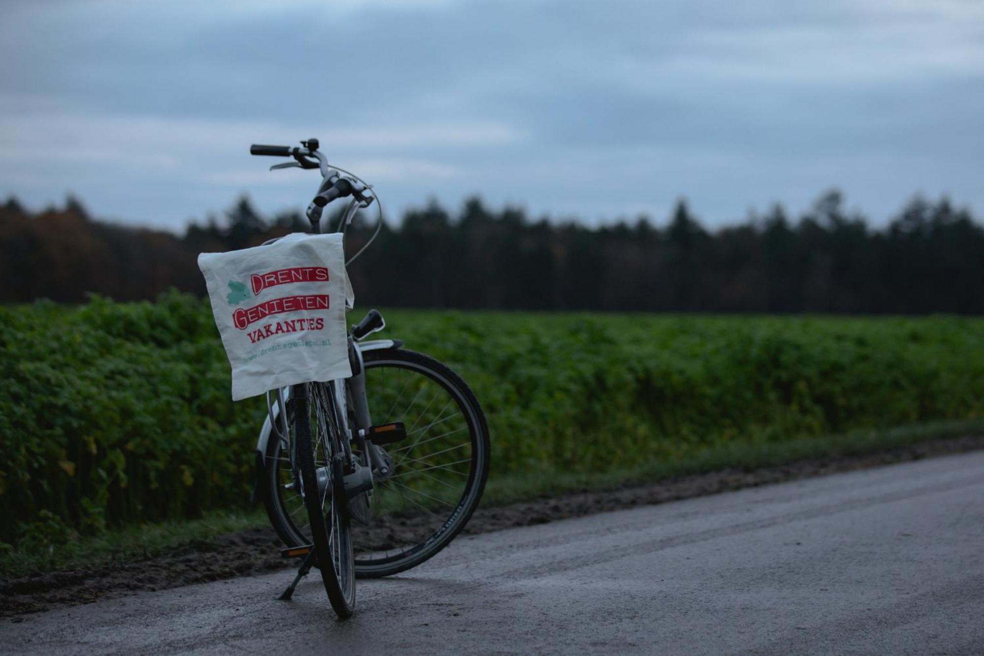Drents Genieten - Kraaiheide Met Prive Jacuzzi Erm Kültér fotó